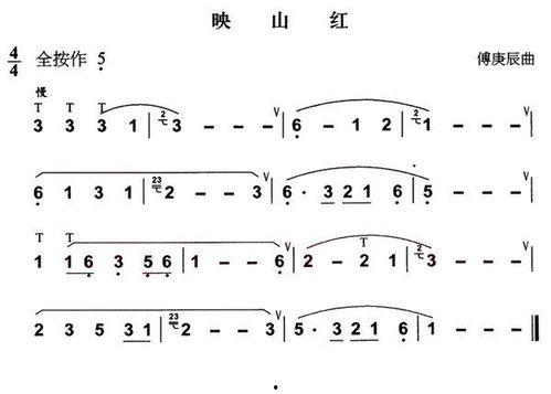 映山红葫芦丝教学视频
